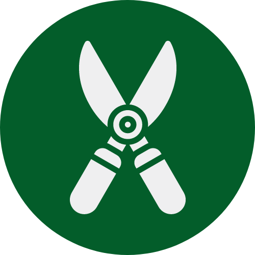 A green circle with two pairs of scissors on it.