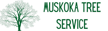 A green and black banner with the words muskoka service written in it.